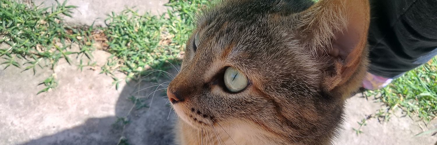 emi_maldseq's profile banner image