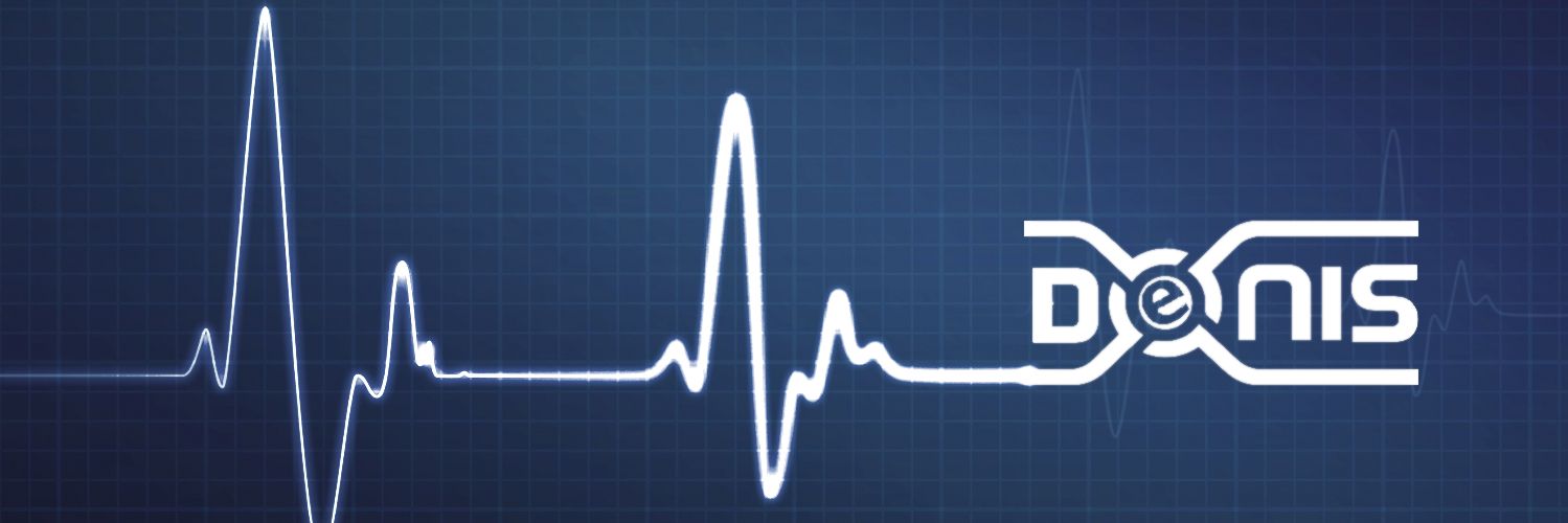 DENISproject_en's profile banner image