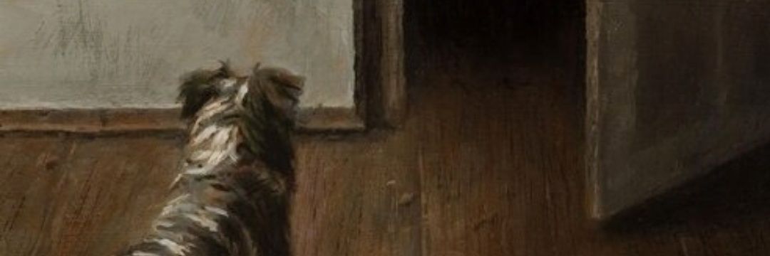 kinokknocks's profile banner image