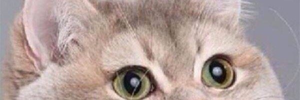 b20k's profile banner image