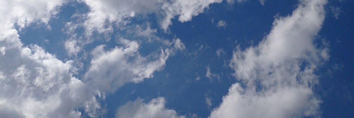 bilikoblk's profile banner image