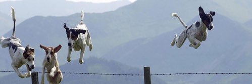 itziar_ochoa's profile banner image
