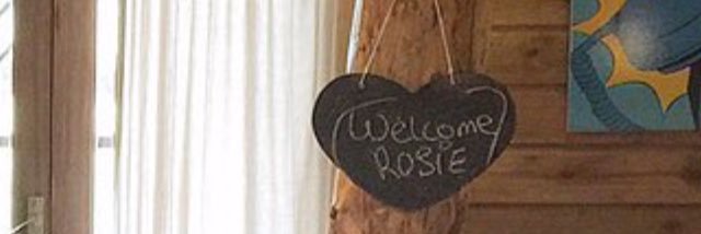Rosaria_V's profile banner image