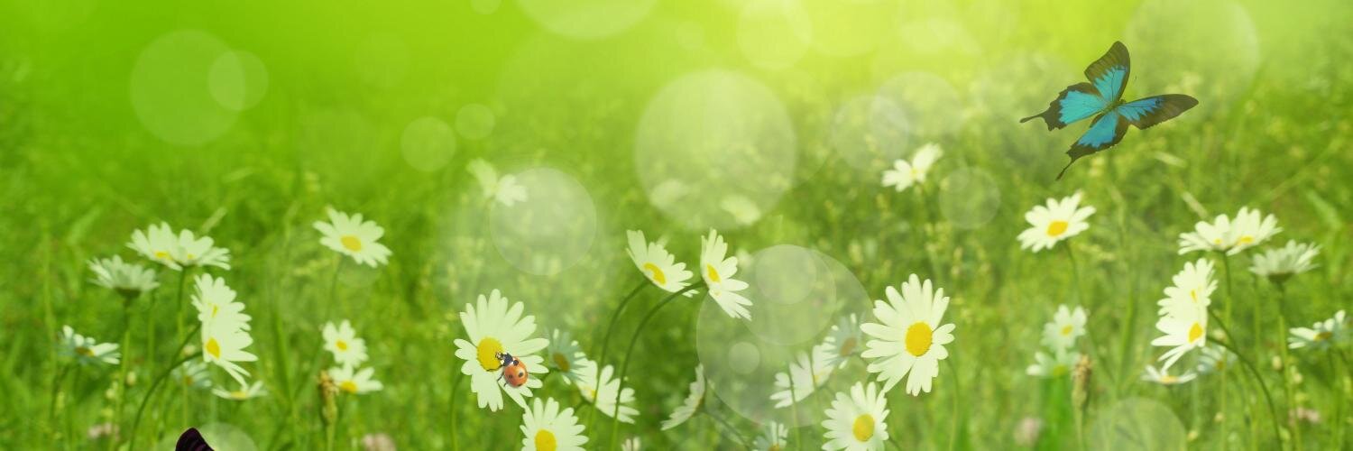 Fotiniy_'s profile banner image