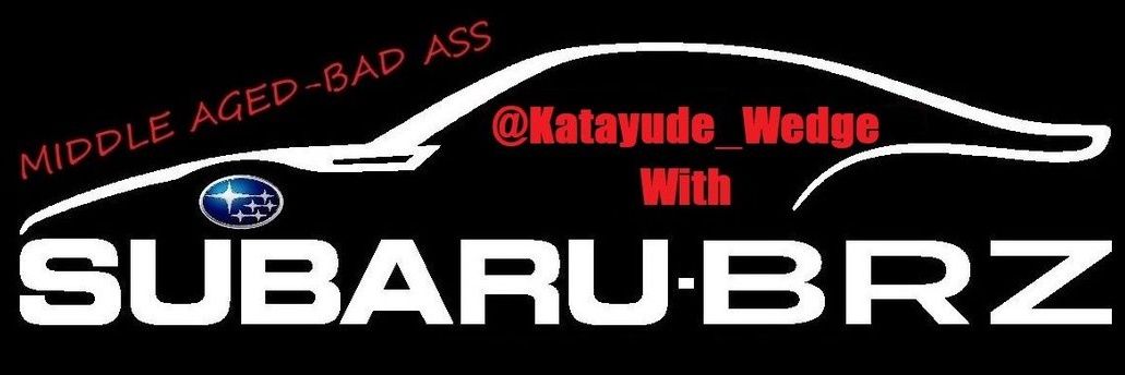 Katayude_Wedge's profile banner image
