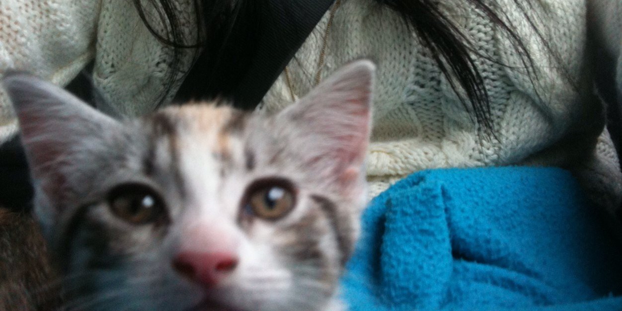 Kattt_93's profile banner image
