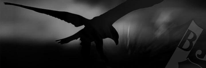 kutayDemir19's profile banner image