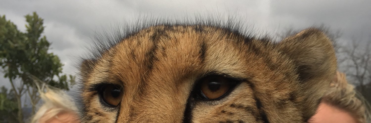 nutmeg62's profile banner image