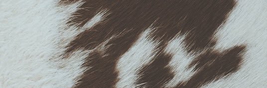 ___chynnadoll's profile banner image