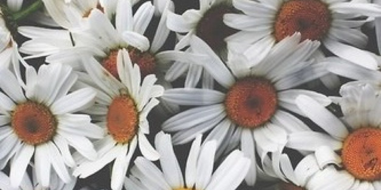 Isabeauuxx's profile banner image