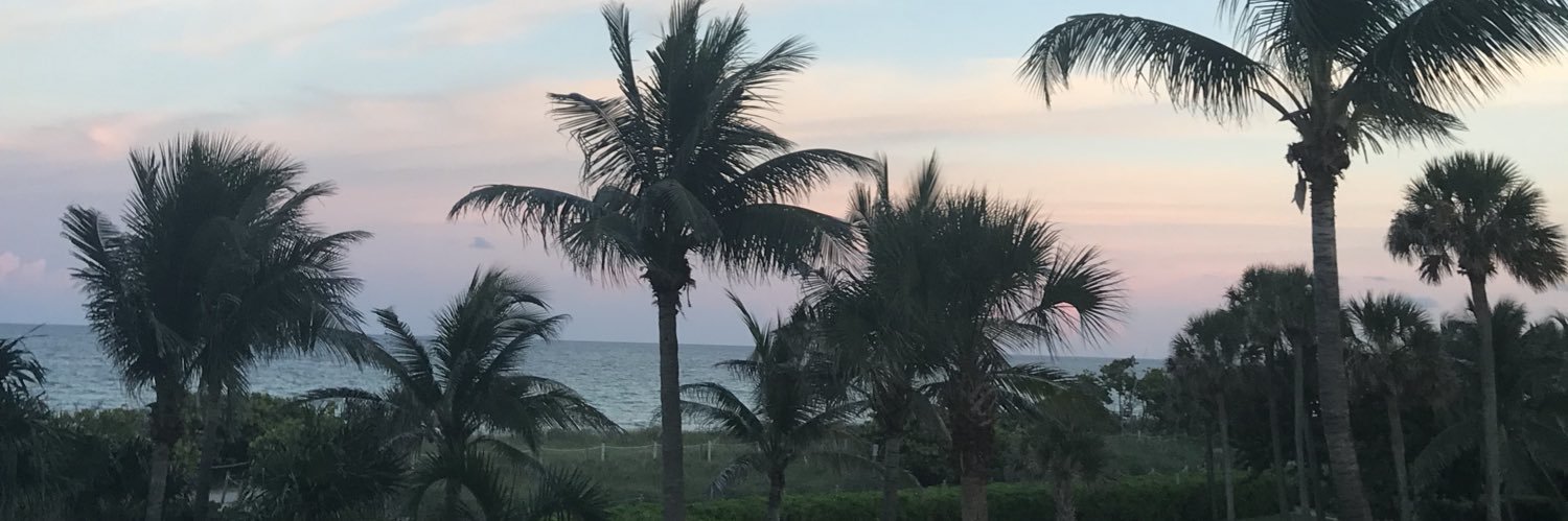 gingersanch26's profile banner image