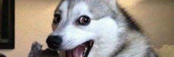 JavierBarbe's profile banner image