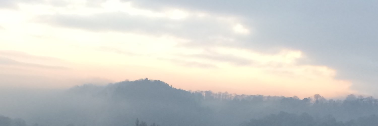 ZombieViper198's profile banner image
