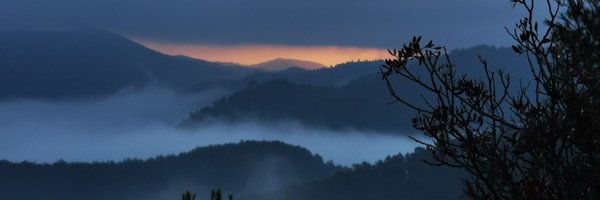 martinkraft Profile Banner