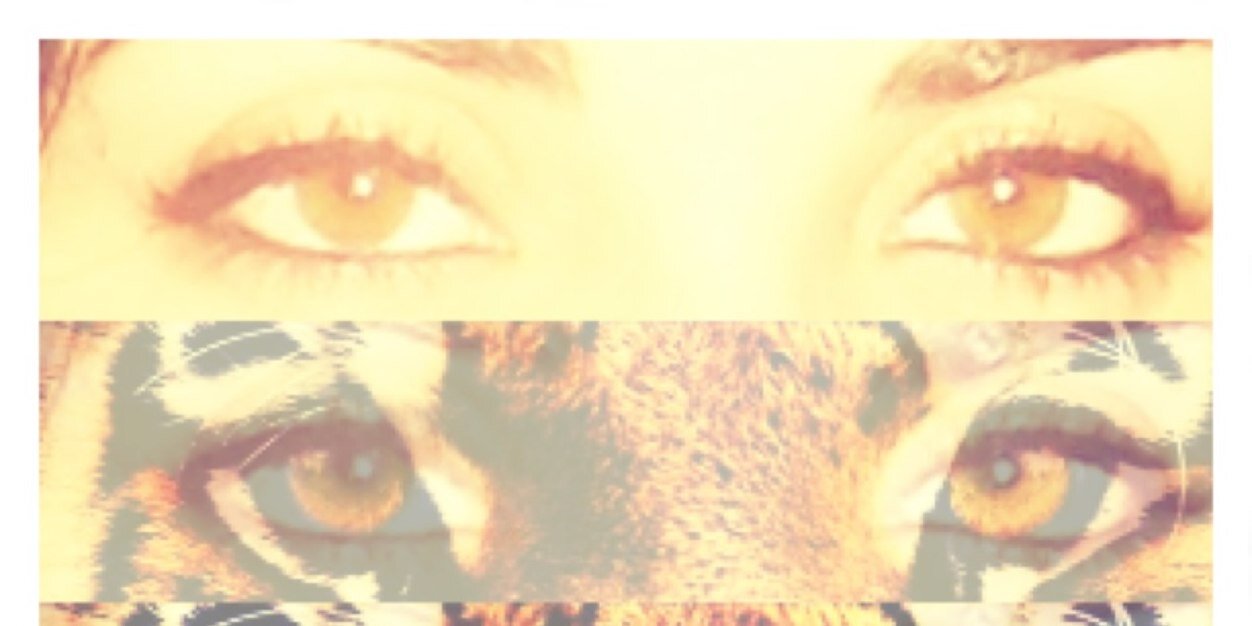 Leonor banner