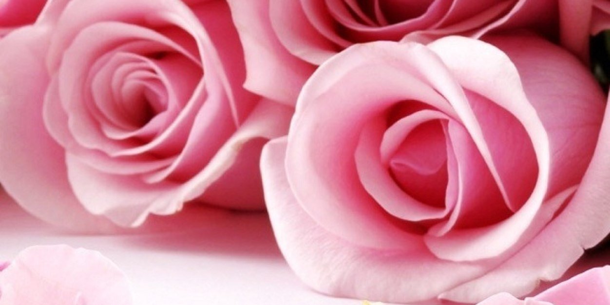 KellyP_87's profile banner image