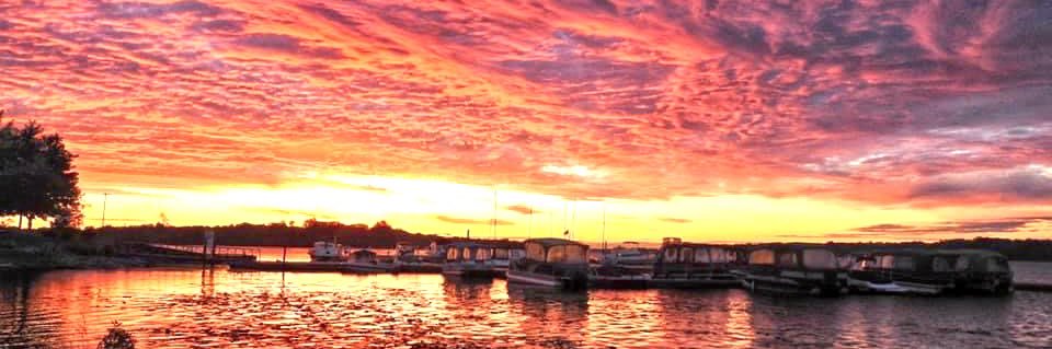 Karen 🌞🌻🐤 banner