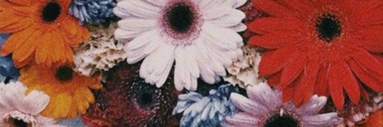 tg57k's profile banner image