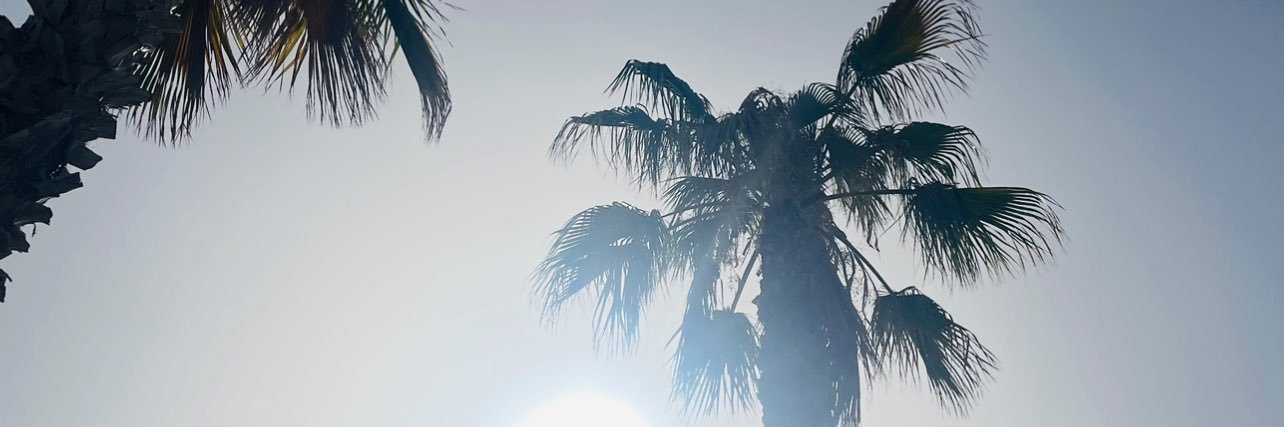 stuart_sergison's profile banner image