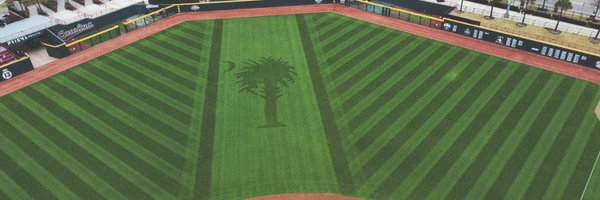 StrongBaseball1 Profile Banner