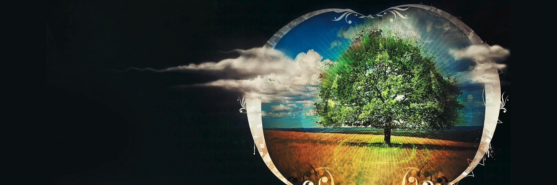 cnee's profile banner image