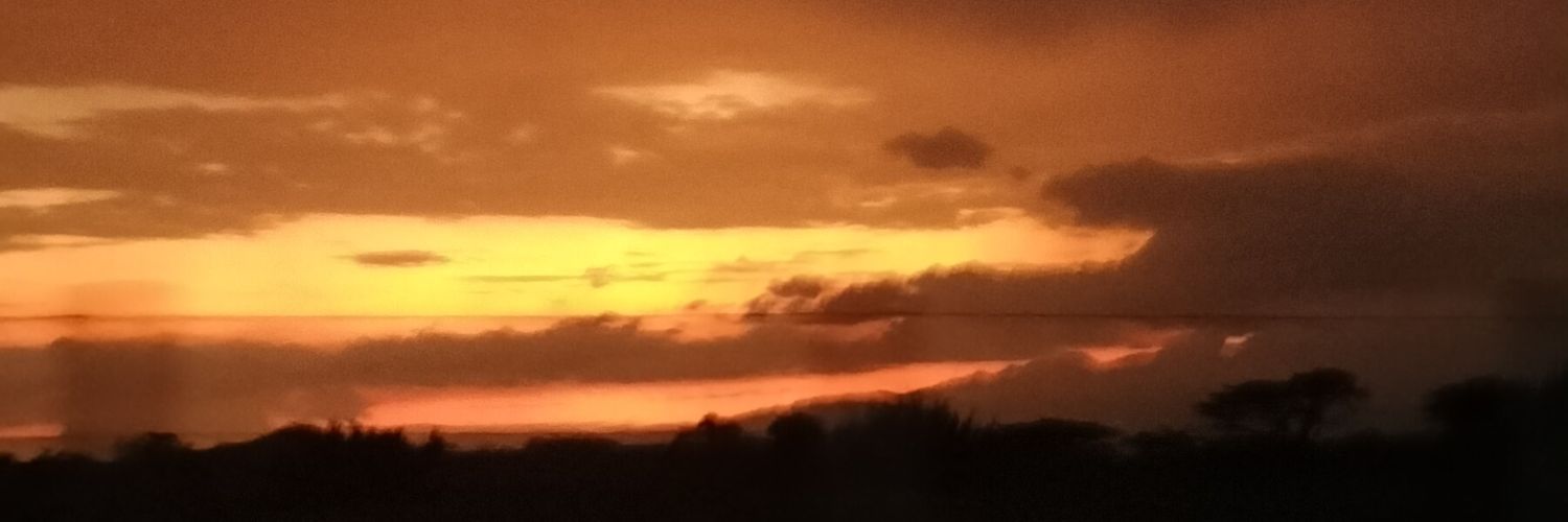 flakostrujillo's profile banner image