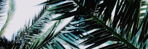 anna_brignola's profile banner image