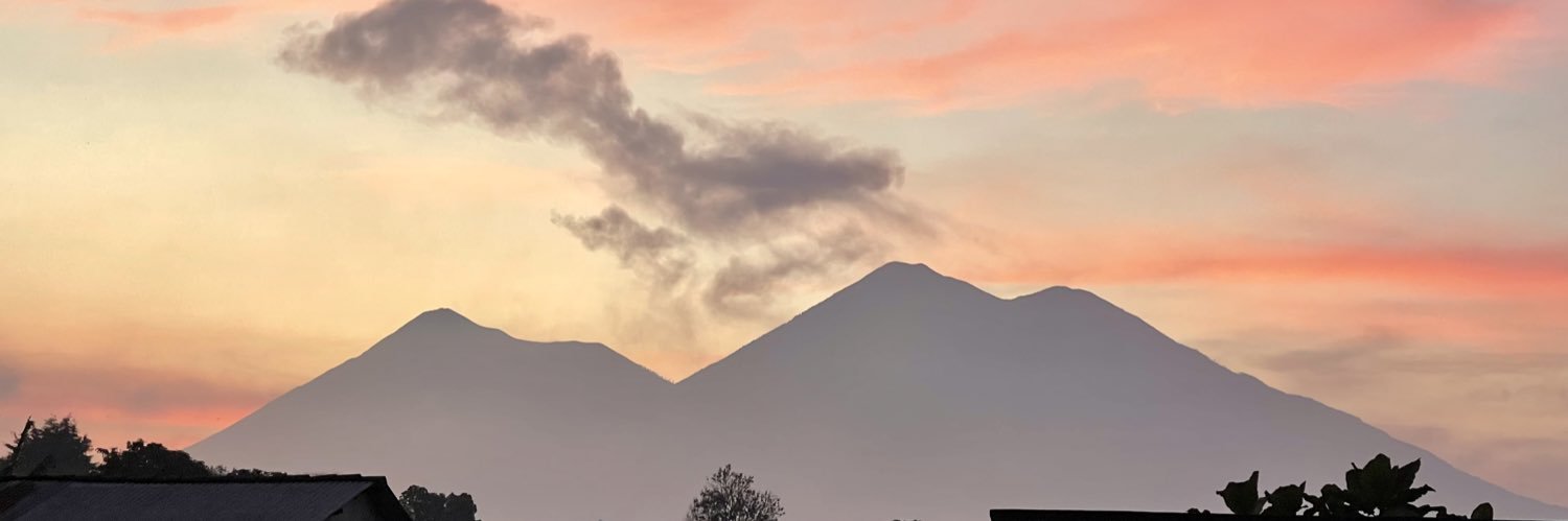 Flor de Maria banner