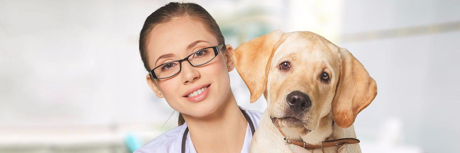 Veterinary_CE's profile banner image