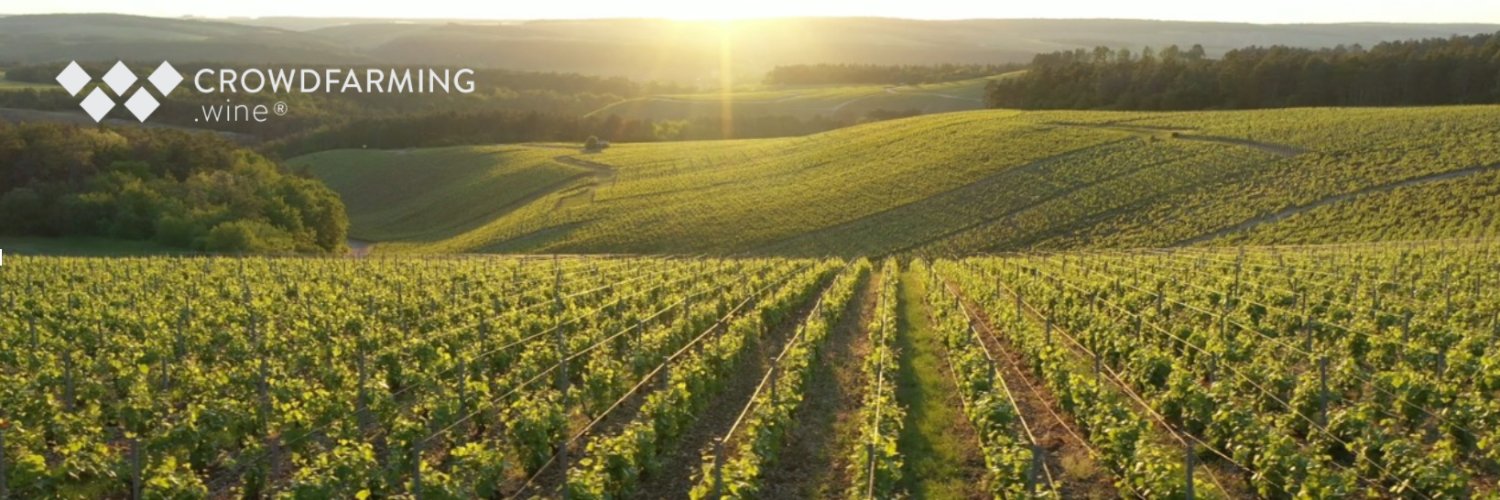 CrowdfarmingW's profile banner image