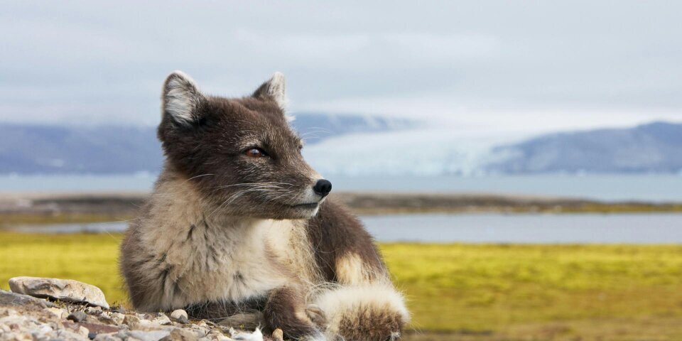 GuilleMotino's profile banner image
