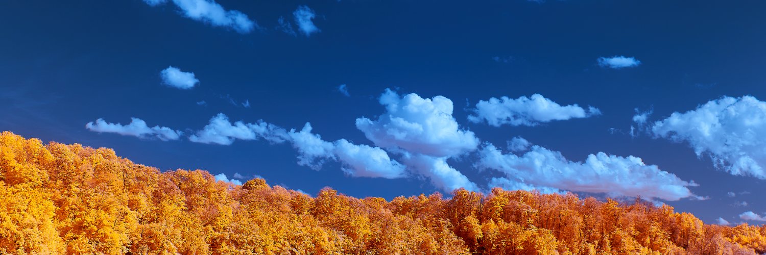 曼妮 banner