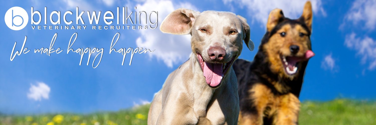 blackwellking's profile banner image