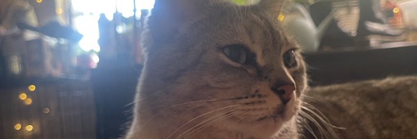 bcthebard Profile Banner