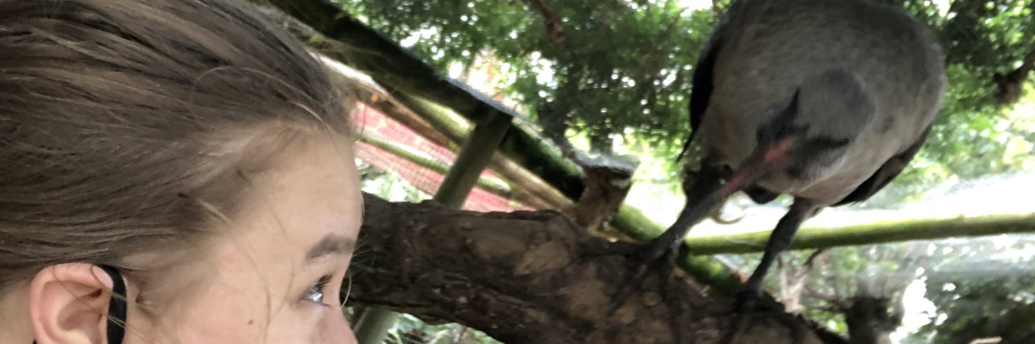 carlajdutoit's profile banner image