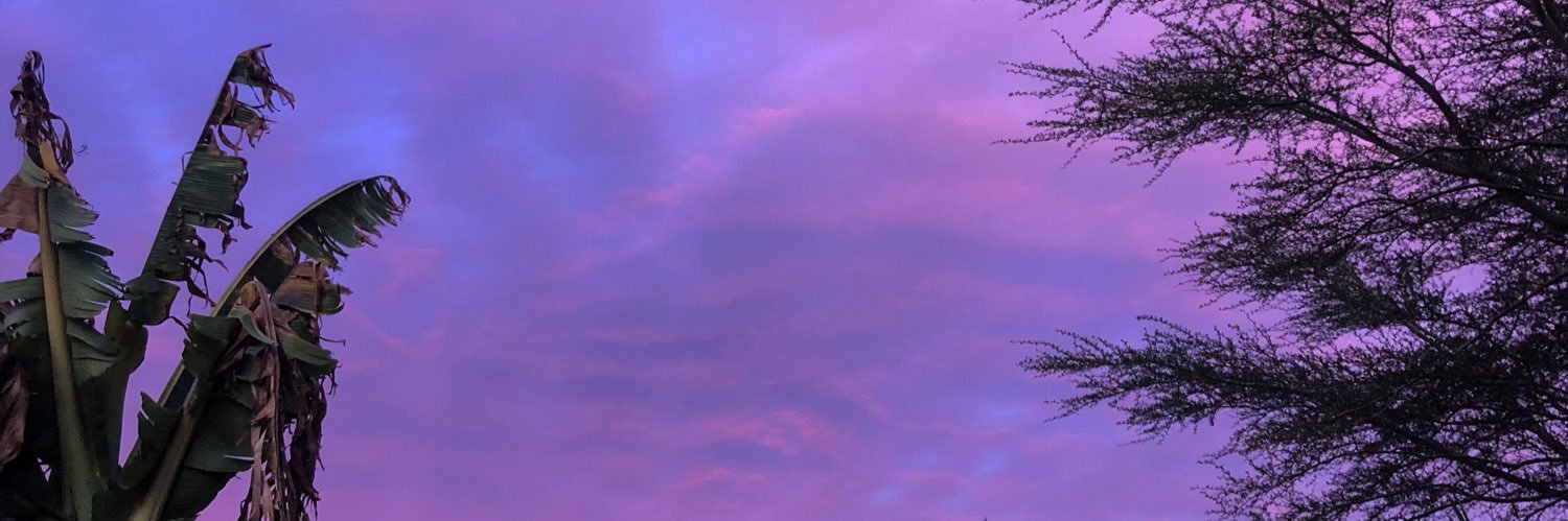 QueenStormii's profile banner image