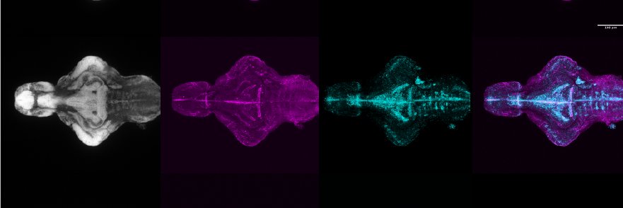 Sabine Reichert banner