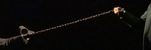 しんしむ🪽 banner