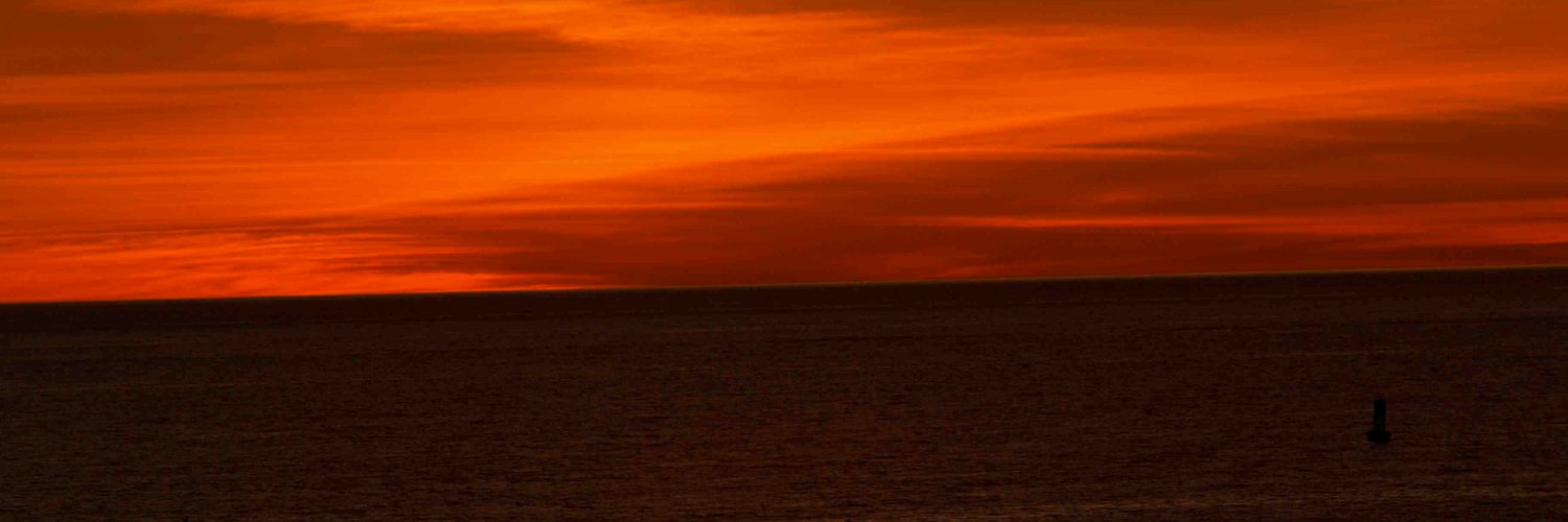 MuttMedia's profile banner image