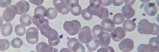 salvarez151s's profile banner image