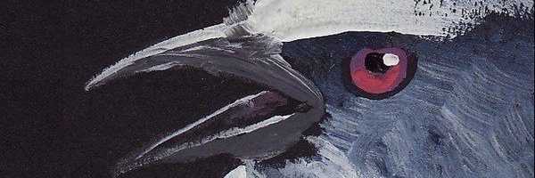 Skrrtch's profile banner image