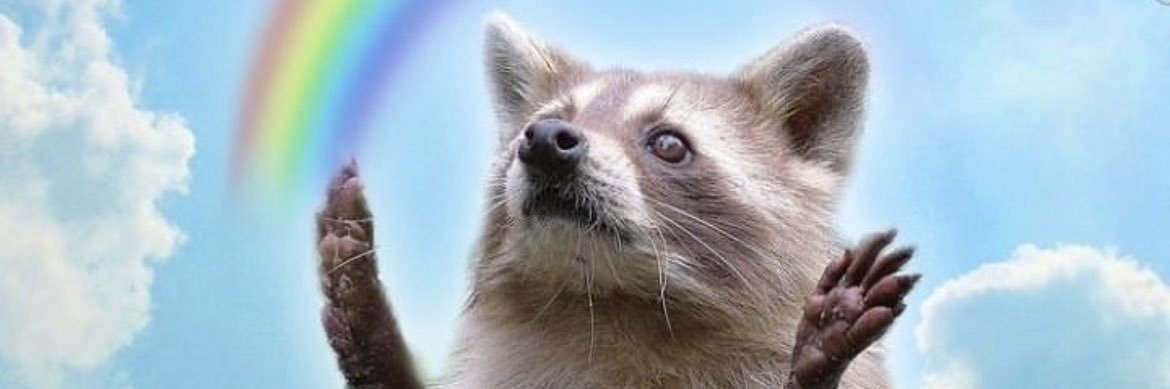ceedmts's profile banner image