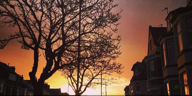 cik_vanylla's profile banner image