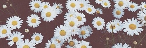 _haleypattison's profile banner image