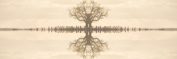 Greisten Profile Banner