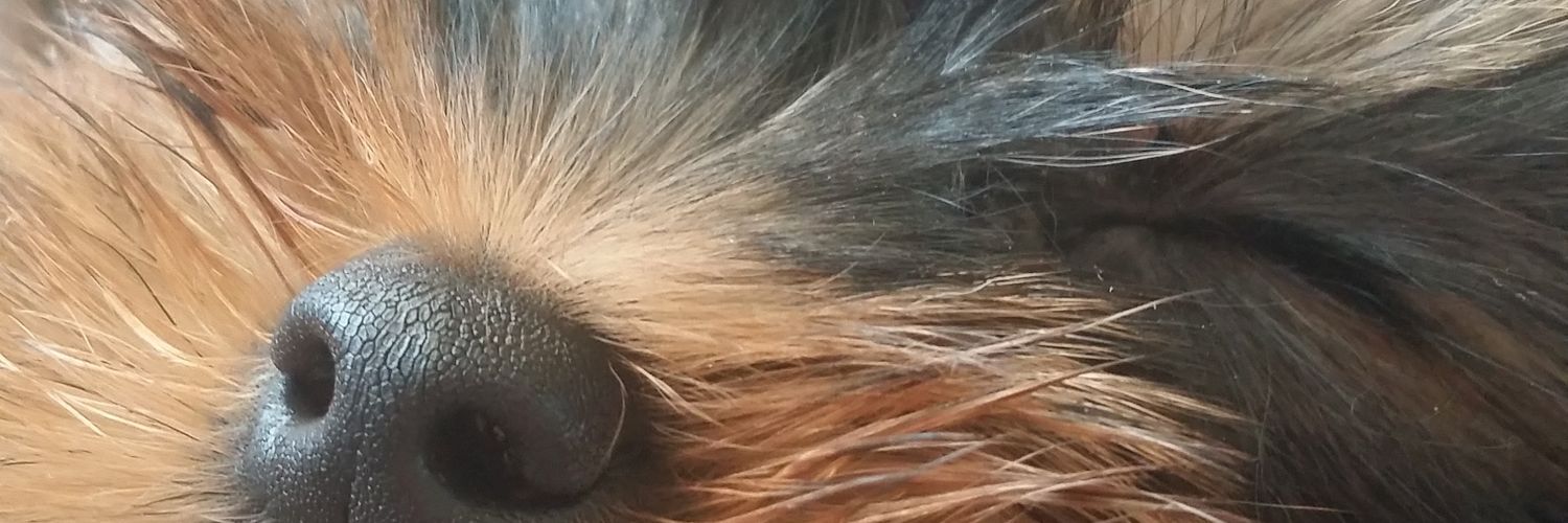Saroooot's profile banner image