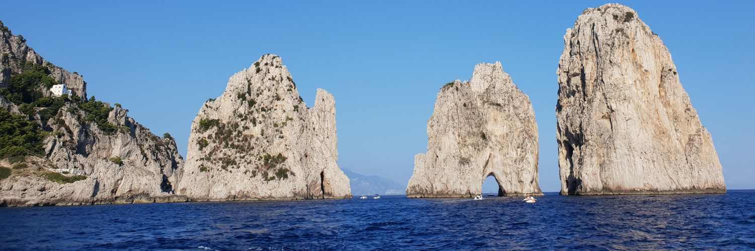 Scott Steedman banner