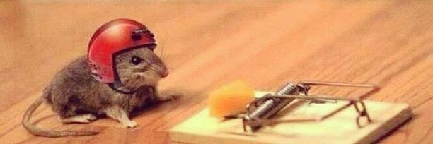 MouseyPM's profile banner image