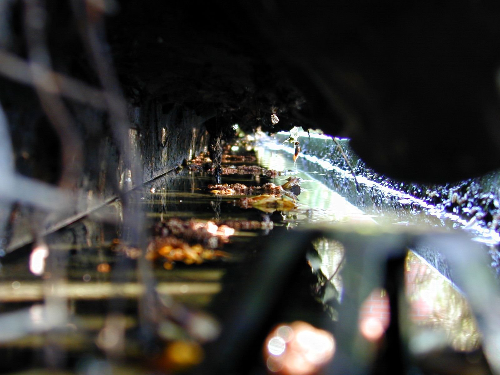 ClydeLiner's profile banner image