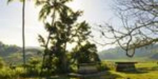 besipae's profile banner image